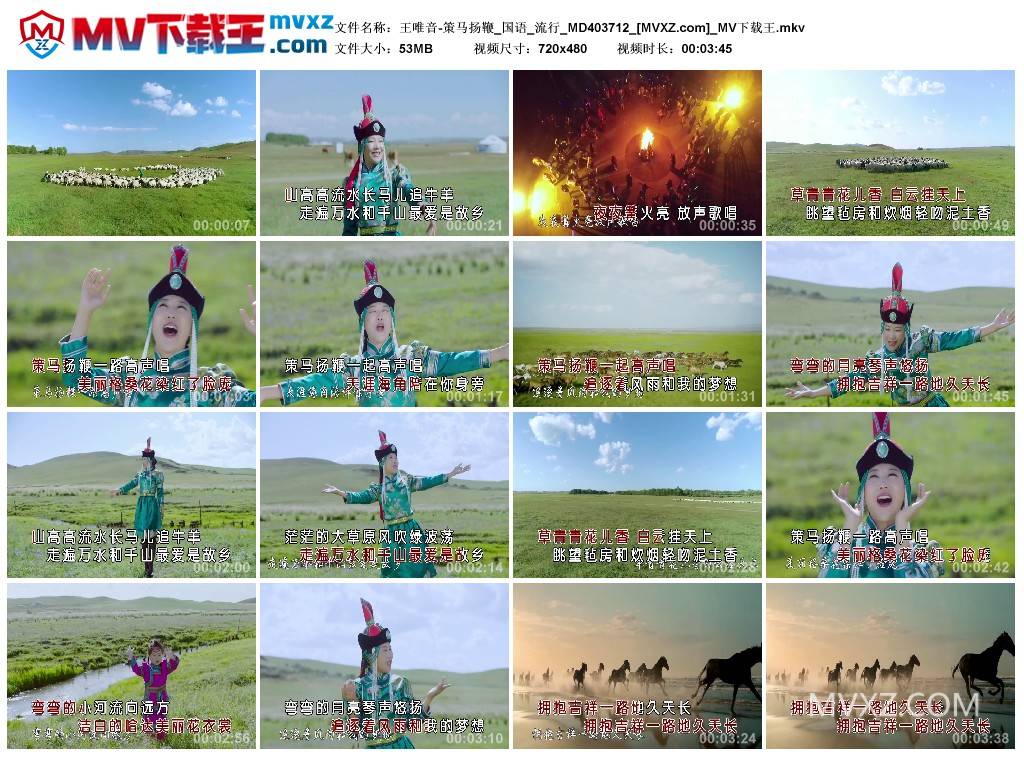 王唯音-策马扬鞭_国语_流行_MD403712